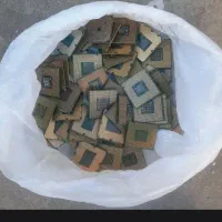 سیپیو سوخته
