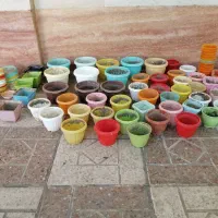 گلدان پلاستیکی رنگی