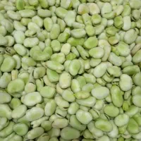 باقله پزا وخوشمزه کیلو 100