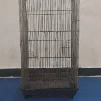 قفس