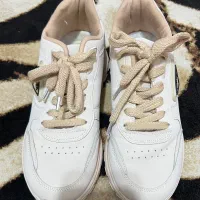 کتون سایز بزرگ ۴۲ کرم