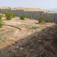 فروش گلخانه ۱۰۰۰ متری|فروش زمین و ملک کلنگی|دوگنبدان, |دیوار