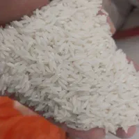 بورس برنج برادران هاشمی
