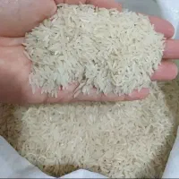 برنج فجر سوزنی ۹۰روزه پاییزه