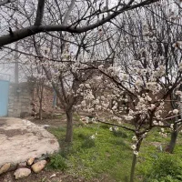 خانه ویلایی