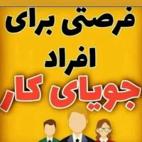 یک فرصت همکاری متفاوت برای خانم ها