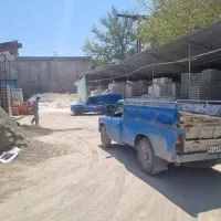 حسابدار مسلط به هلو