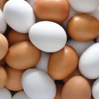 فروش تخم مرغ محلی