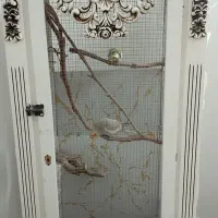 جفت عروس هلندی