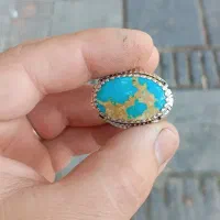 فیروزه نیشابوری