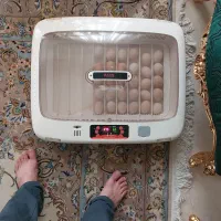 خ انواع دستگاه جوجه کشی آرکام 50