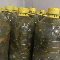 خیارشور محلی تحویل درب منزل