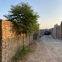 باغ و باغچه