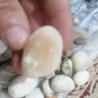یاقوت چهارپراصل