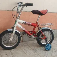 دوچرخه ۱۲و۲۴ حرفه ای