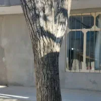 درب و پنجره