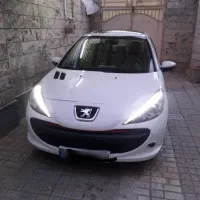 207 مدل 1401 پاناروما
