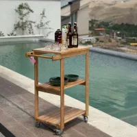ترولی و میزو وصندلی تاشو و کافی بار