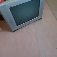 تلویزیون