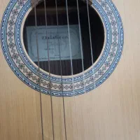 گیتار سالم