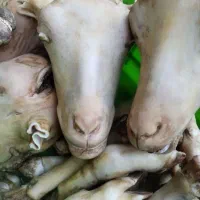 پاک‌کردن‌کله پاچه