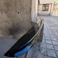 بال عقب دنا رنگ شده