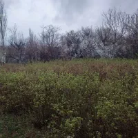 هزارمتر-باغ-در-روستای-خوش-آب-و-هوا