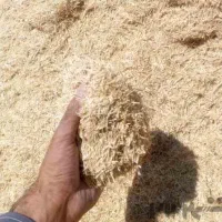 *کاه جو دیم درجه ۱*