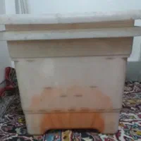 گلدون