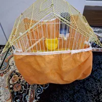 قفس پرنده