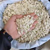 بذر تخمه کدو و آفتابگردان