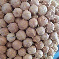 لیممو عمانی(خشک) و تازه اعلا جهرم