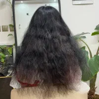 رنگ و لایت و پروتئینه احیا