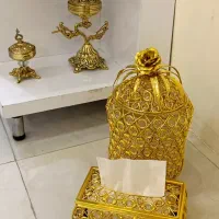 دو عدد سطل و جادستمالی
