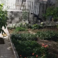 سوییت-با-حیاط