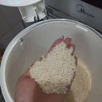 برنج طارم هاشمی