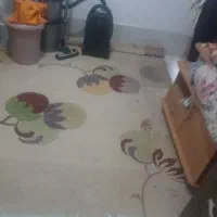 فرش ۱میلیون
