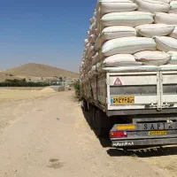 خرید کاه