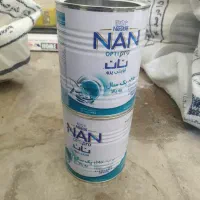 قوطی