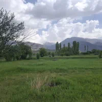 زمین کشاورزی در طالقان با آب کشاوزی