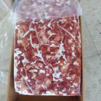 سنگدان