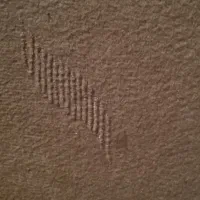 موکت رنگ قهوه ایی یا شتری