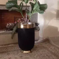درختچه لیراتا