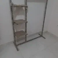 رگال
