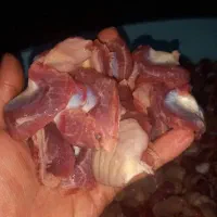 سنگدان فله تازه داریم.