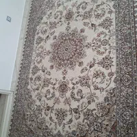 ۲ عددفرش شش متری