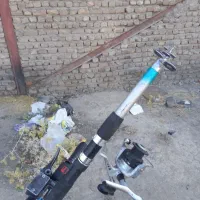 لنسرماهیگیری