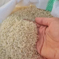 فروش عمده برنج ایرانی خالص تضمینی