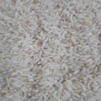 برنج عنبربو خوزستان