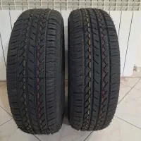 لاستیک ساینا